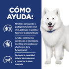 Hill's Prescription Diet kidney + Mobility pienso para perros, , large image number null